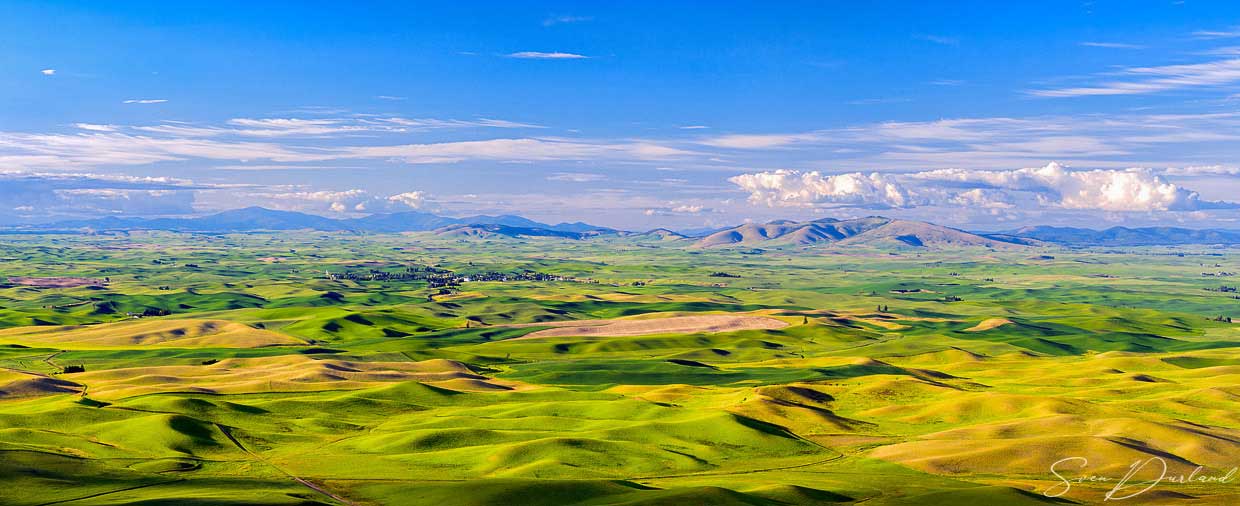 Rolling hills panorama in the Palouse