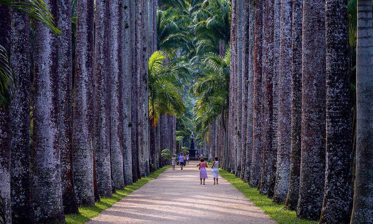Jardim Botanico park in Rio