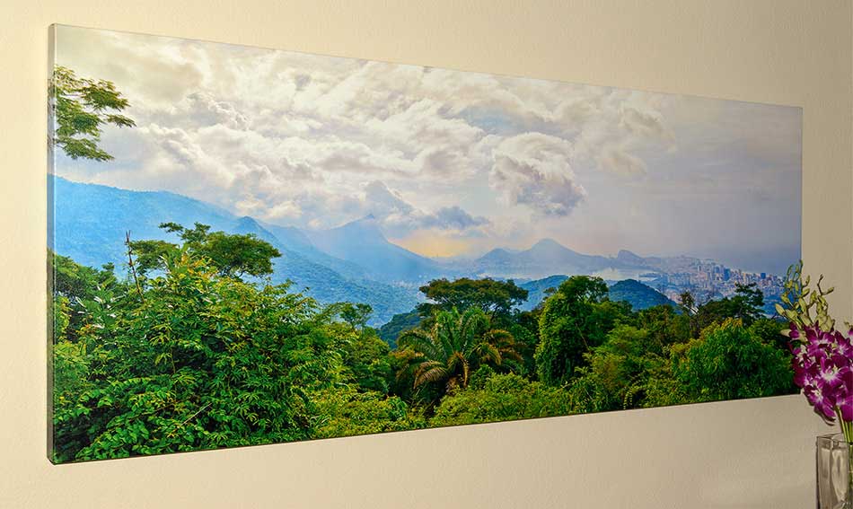 Canvas print of Tijuca forest, Rio
