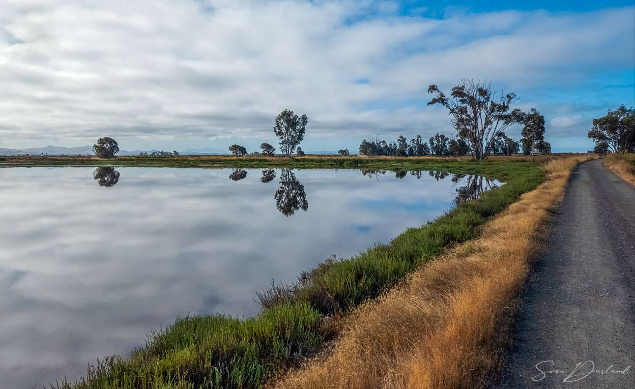 San Francisco Bay Area