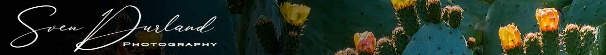 Sven Durland blog heading