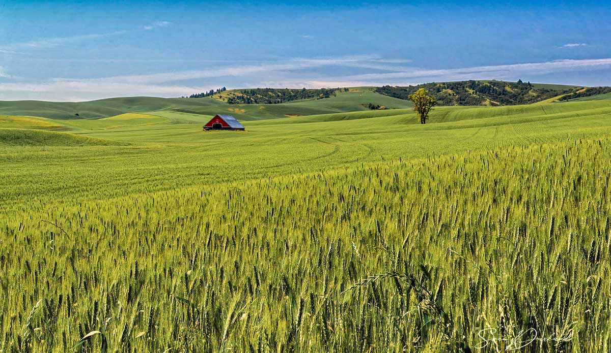 Lone barn