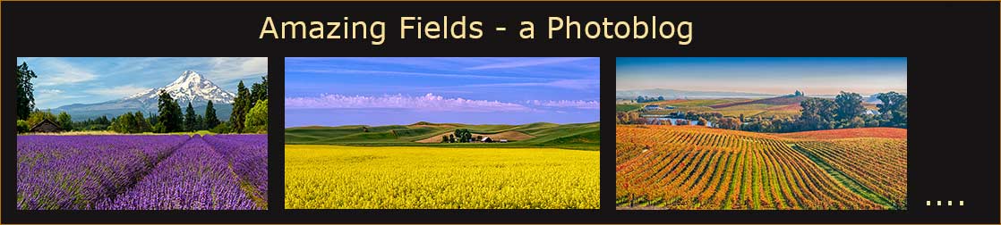 Fields header