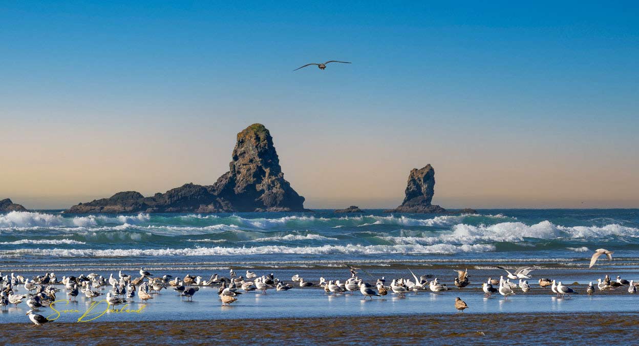 Sea view Cannon Beach