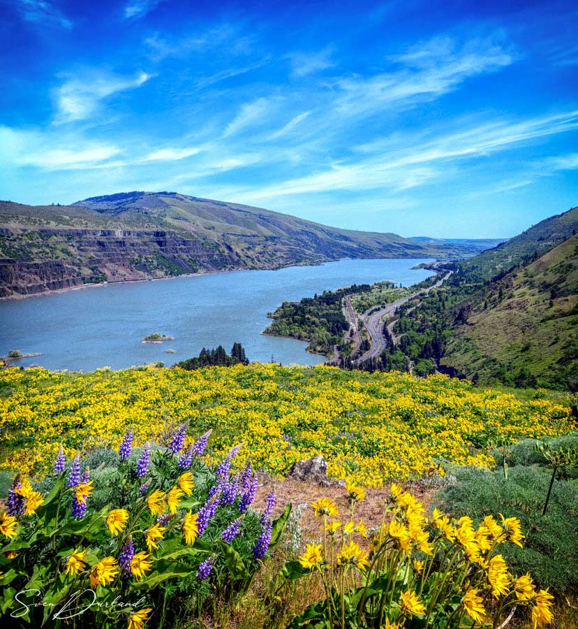 Columbia River Gorge