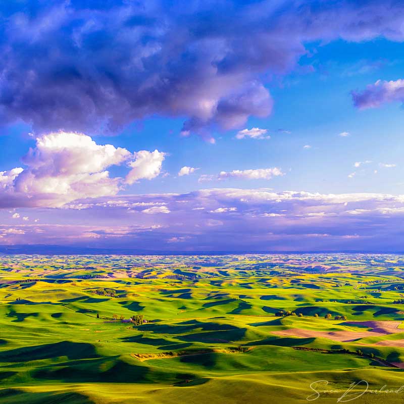 Rolling hills at sunset in the Palouse