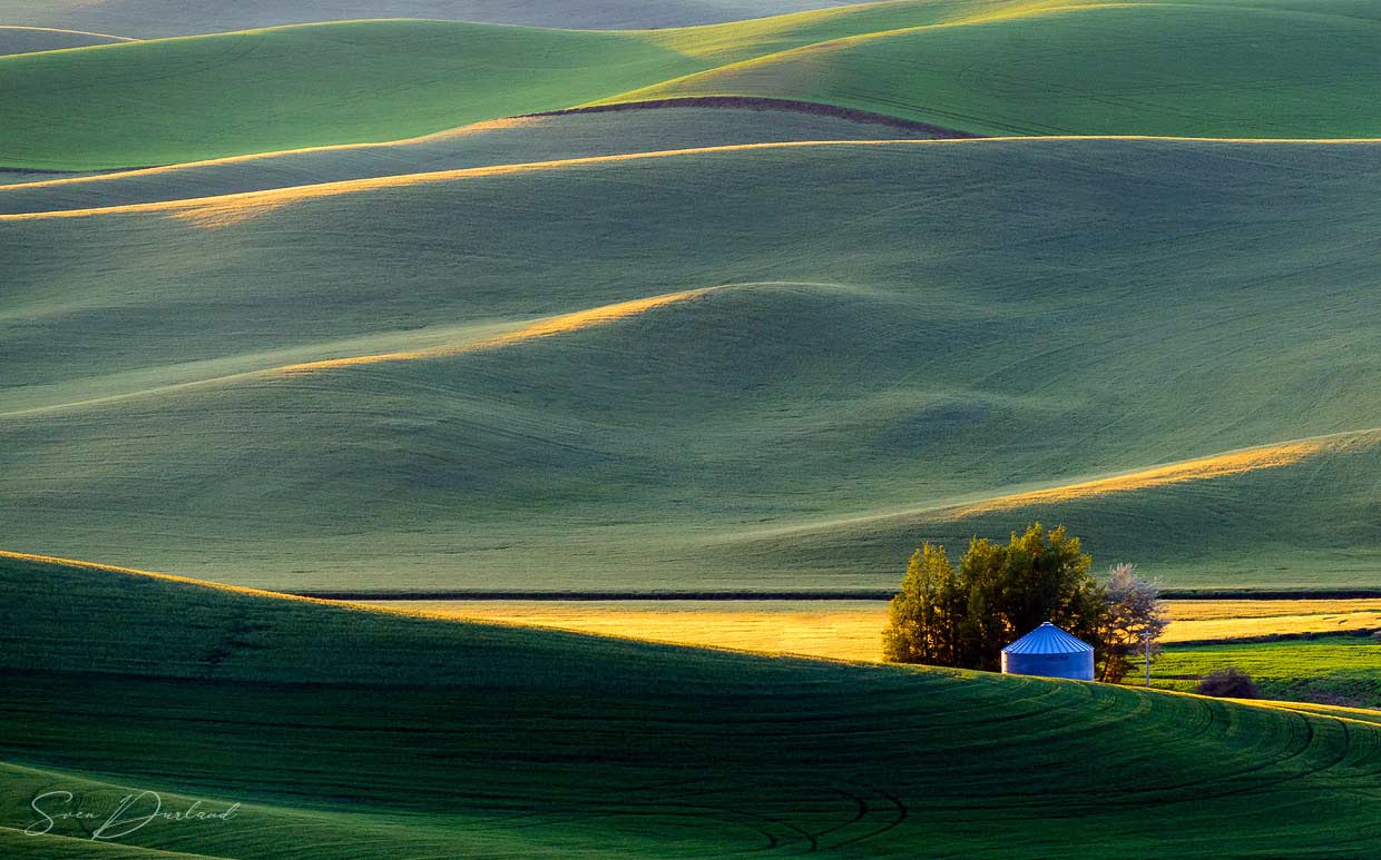 Rolling hills at sunset in the Palouse