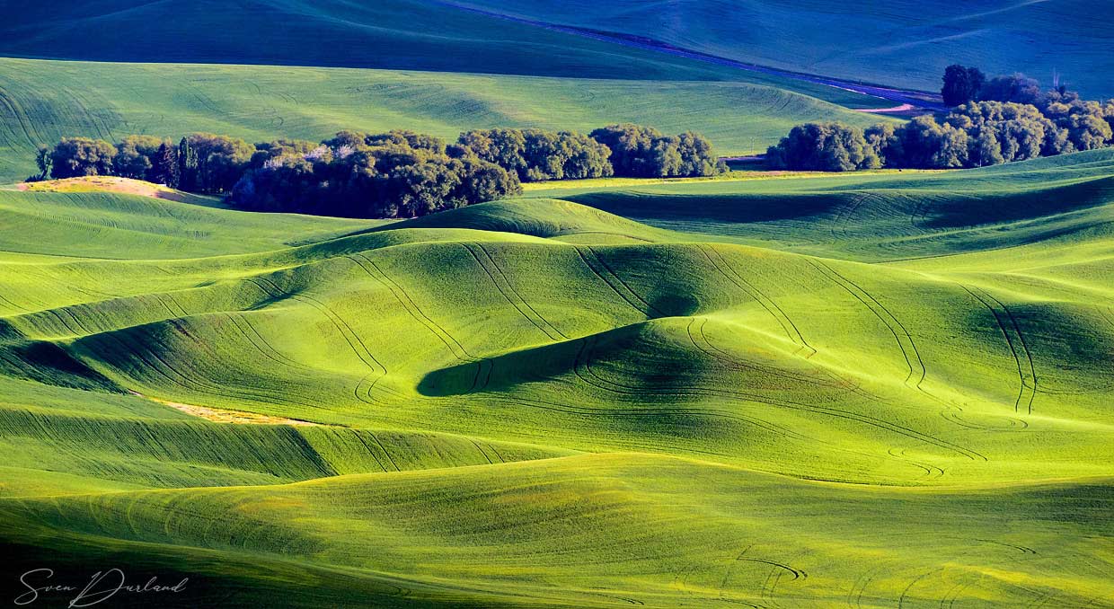 Rolling hills in the Palouse