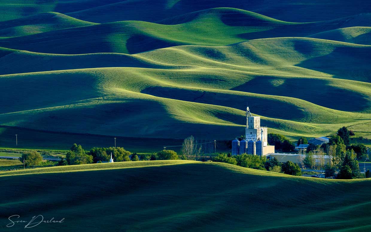 Whitman County -Palouse