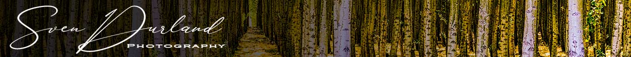 Sven Durland blog heading