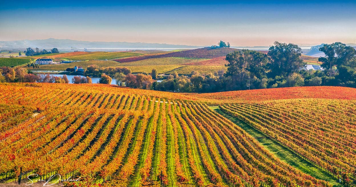 Autumn in Napa Valley