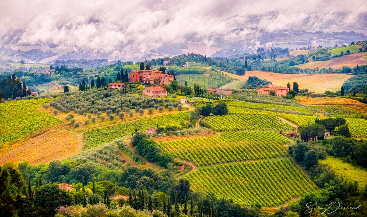 Tuscany vineyard