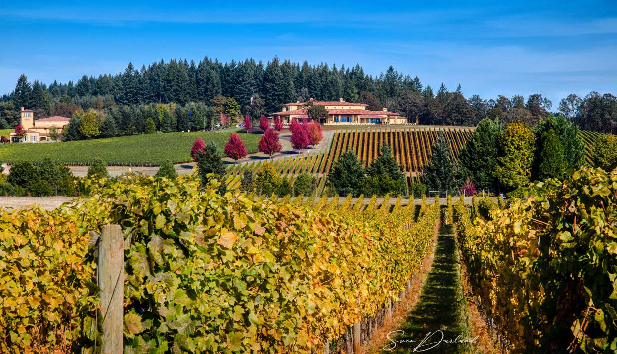 Domain Serene, Oregon
