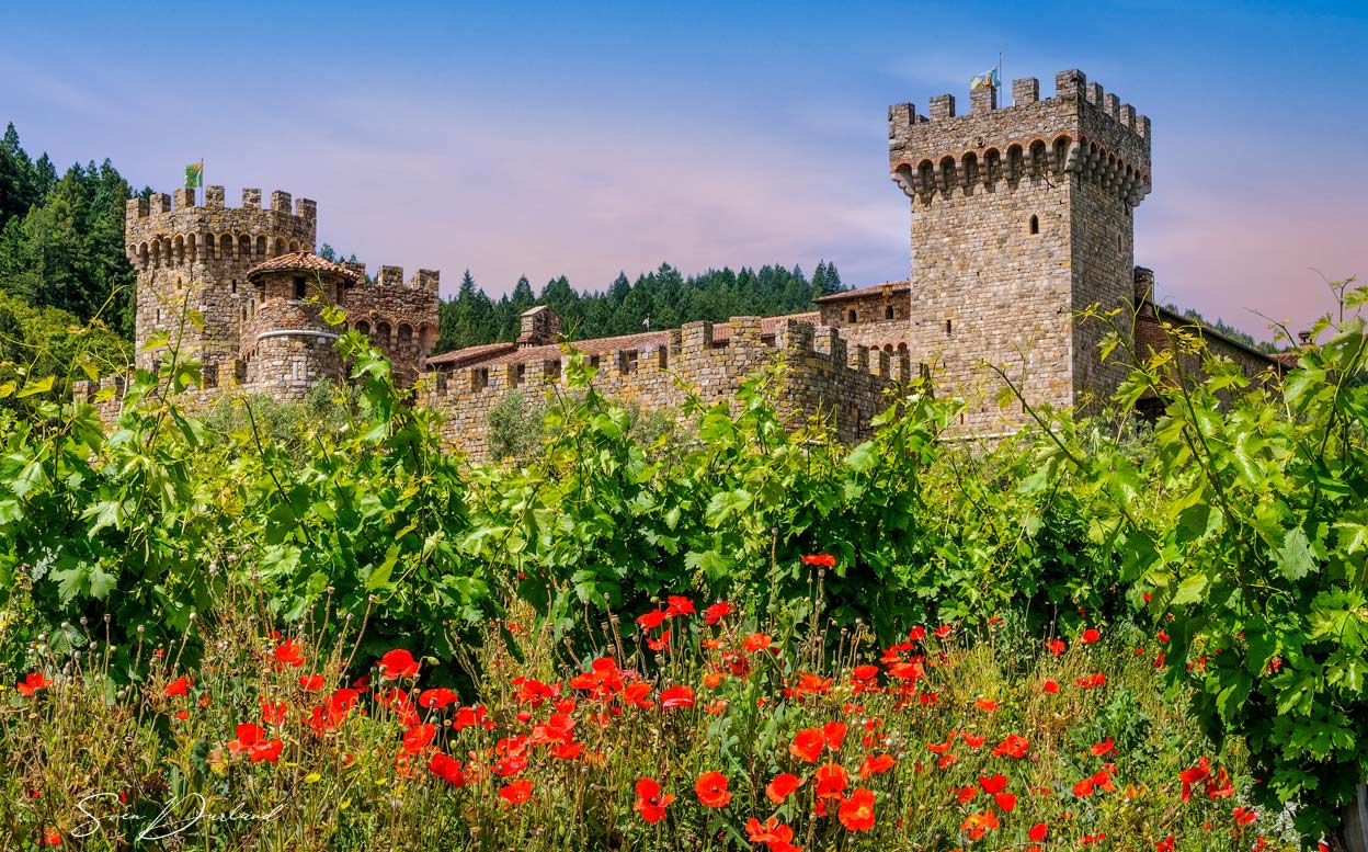 Castello di Amorosa winery