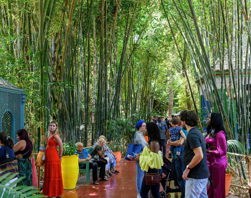 Majorelle Garden