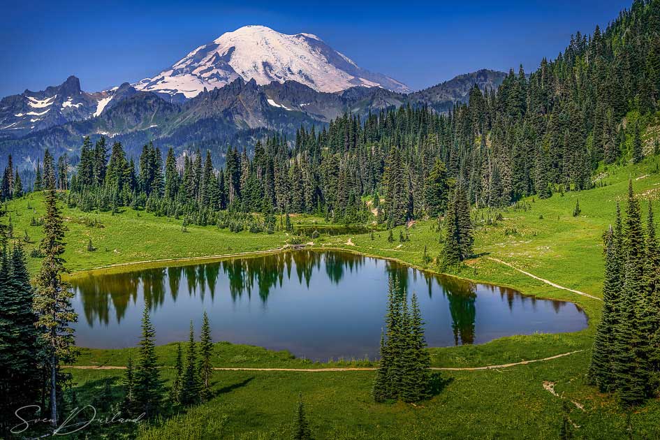 Lake Vista - Mt Rainier