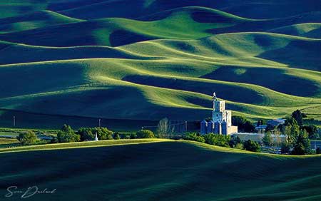 The Palouse