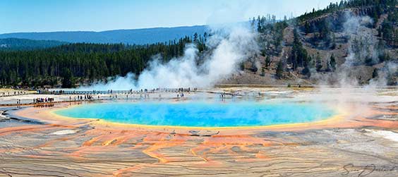 Grand Prismatic Spring Yellowstone