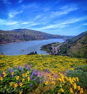 Tom McCall Point view