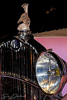 Delage car grille